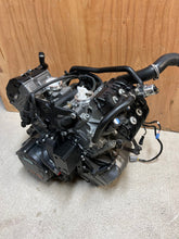 Load image into Gallery viewer, 43735526