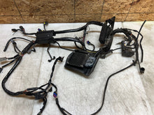 Load image into Gallery viewer, 43750956