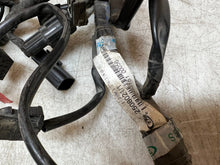 Load image into Gallery viewer, 43777904