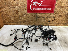 Load image into Gallery viewer, 43776639