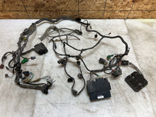 Load image into Gallery viewer, 43690259