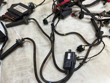 Load image into Gallery viewer, 45999707