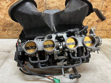 Load image into Gallery viewer, 43735538