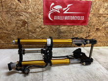 Load image into Gallery viewer, 43736113