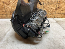 Load image into Gallery viewer, 43735538