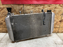 Load image into Gallery viewer, 44033025