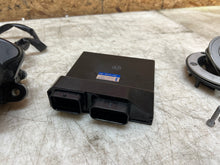 Load image into Gallery viewer, 43987453