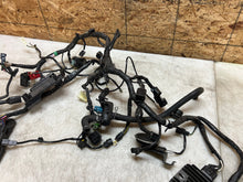 Load image into Gallery viewer, 43755772