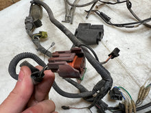 Load image into Gallery viewer, 43690259