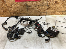 Load image into Gallery viewer, 43735951