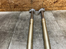 Load image into Gallery viewer, 13 14 15 16 17 18 BMW F800GS F 800GS F800 GS FRONT FORKS FORK TUBES WP CORE LEG