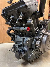 Load image into Gallery viewer, 43987396