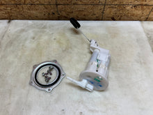 Load image into Gallery viewer, 45384377