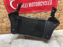 Load image into Gallery viewer, 43778089