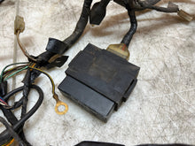 Load image into Gallery viewer, 45164419