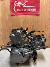 Load image into Gallery viewer, 43777897