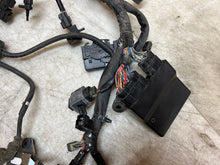 Load image into Gallery viewer, 44300756