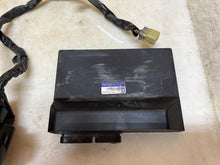 Load image into Gallery viewer, 45391970