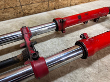 Load image into Gallery viewer, 46919876