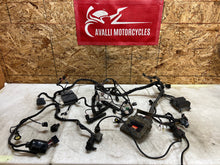 Load image into Gallery viewer, 43735852