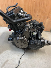 Load image into Gallery viewer, 43987396