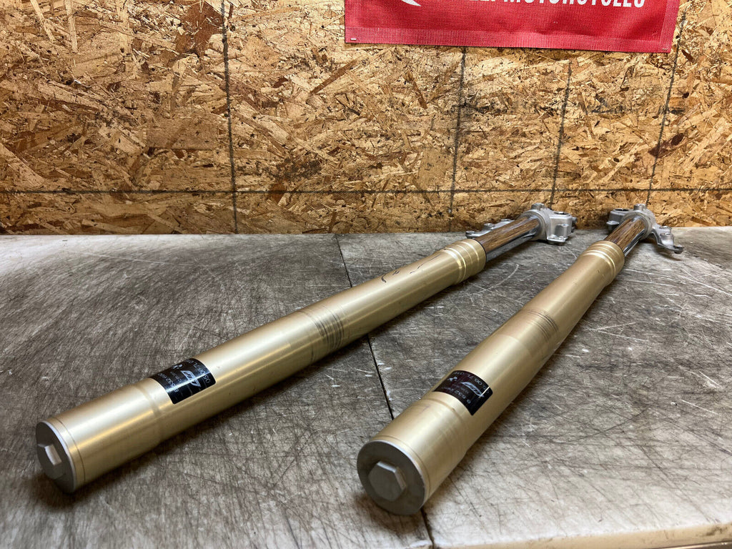13 14 15 16 17 18 BMW F800GS F 800GS F800 GS FRONT FORKS FORK TUBES WP CORE LEG