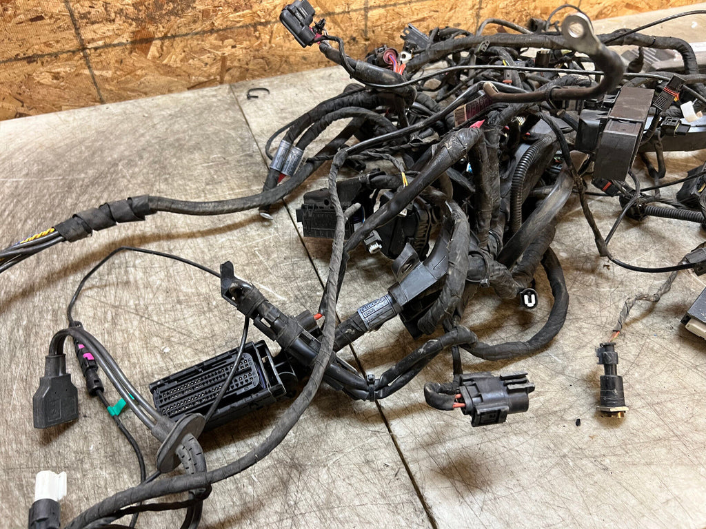 14 15 16 17 18 BMW R1200 R1200RT 1200RT MAIN ENGINE WIRING HARNESS LOOM COMPUTER