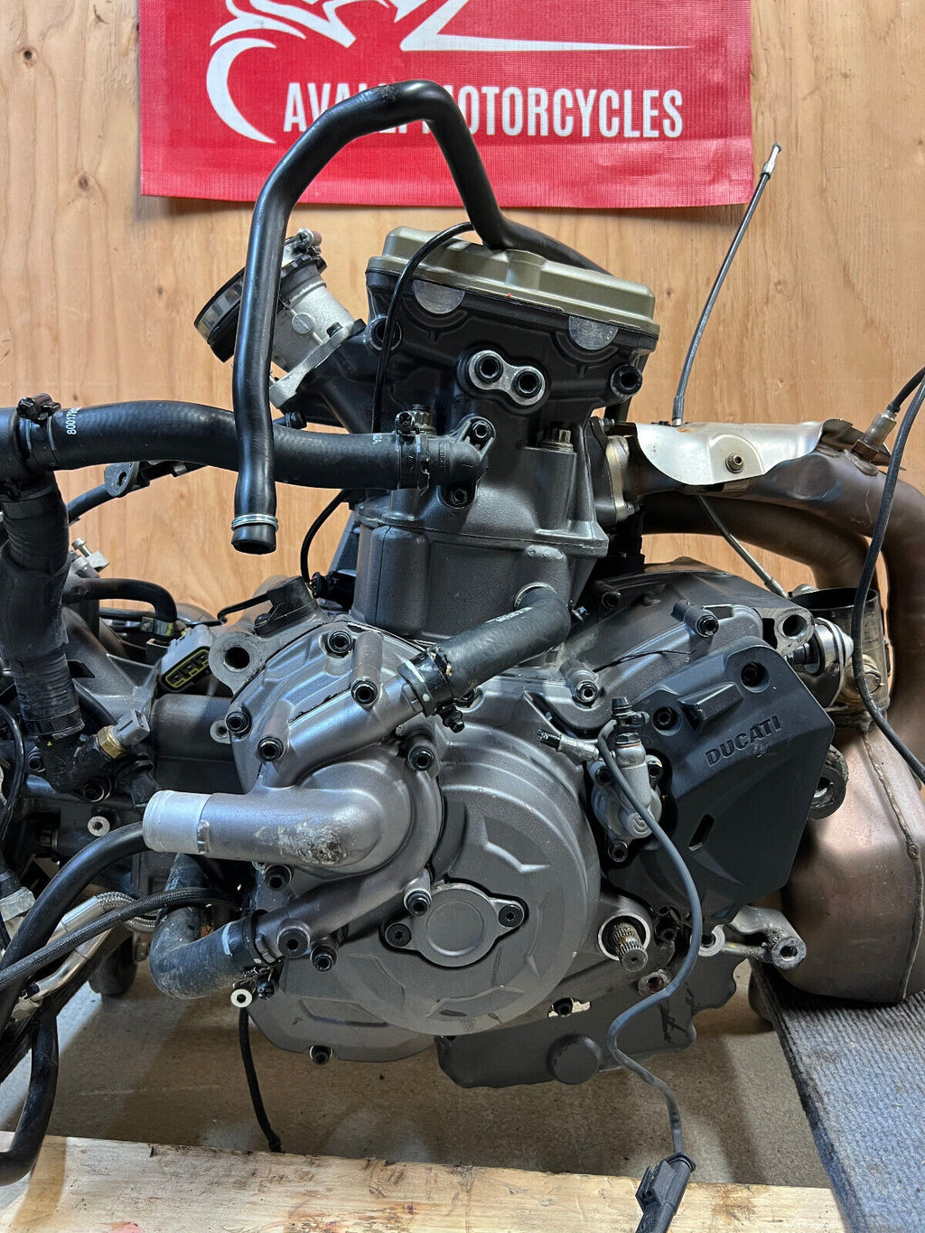 44032937