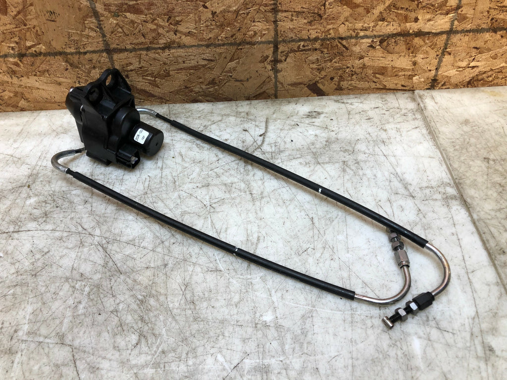 47062905