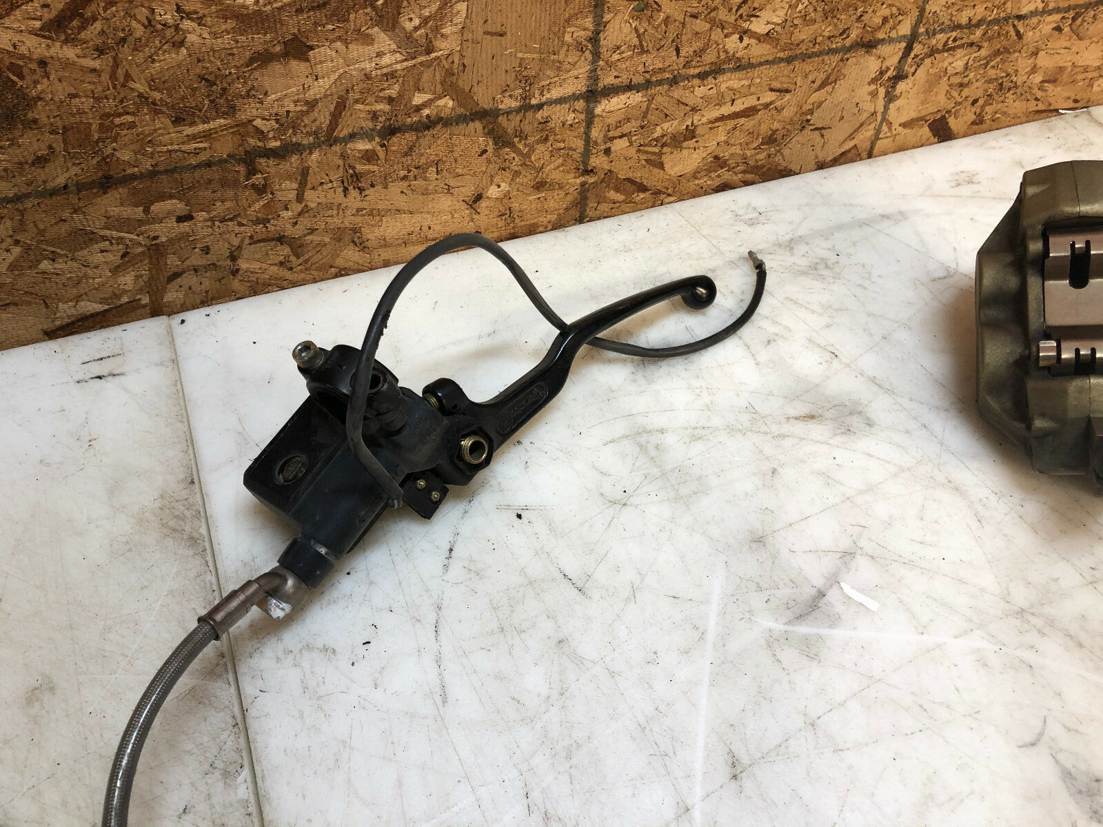 47063033