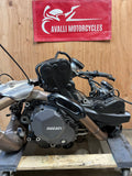 44032937