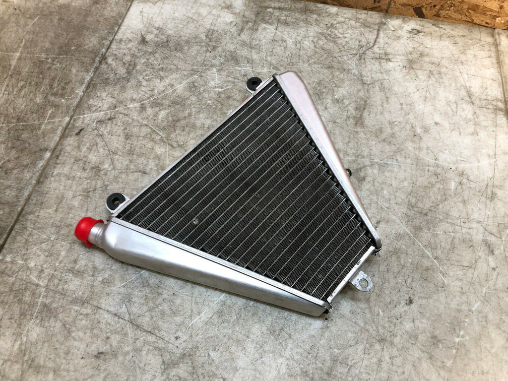 16 17 18 19 DUCATI PANIGALE 899 959 LOWER V RADIATOR RAD ENGINE COOLER COOLING