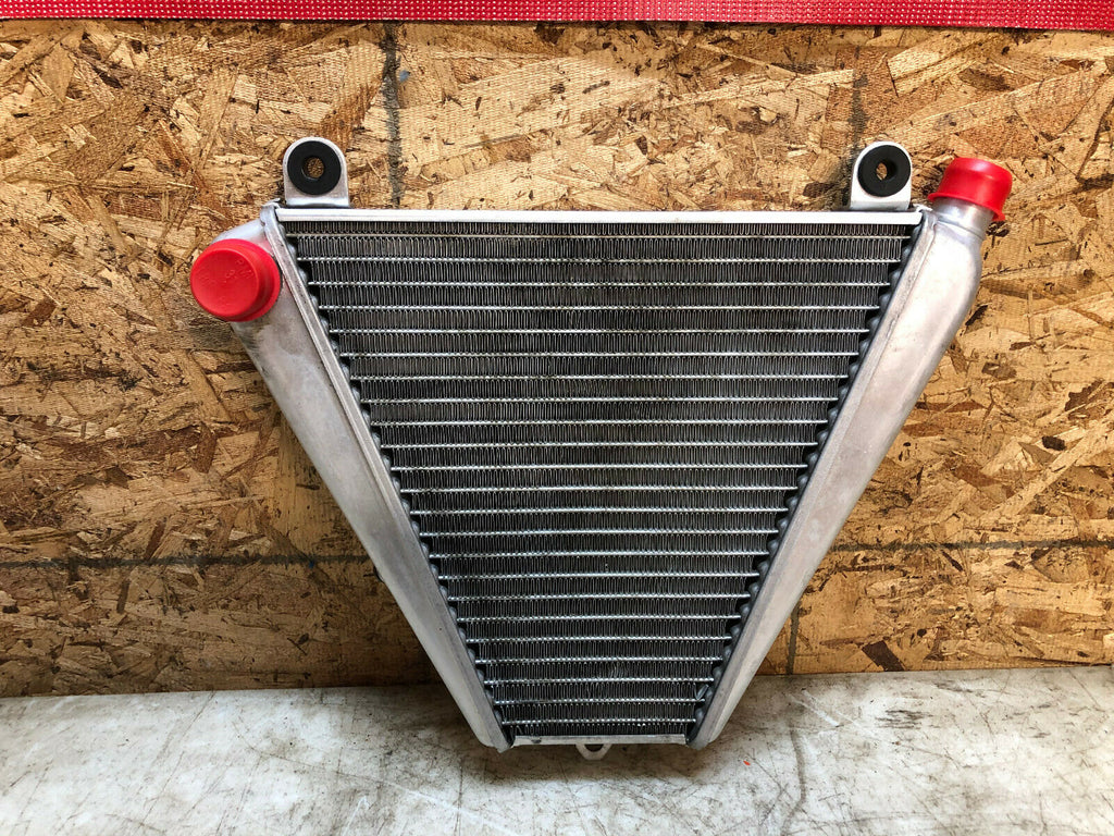 16 17 18 19 DUCATI PANIGALE 899 959 LOWER V RADIATOR RAD ENGINE COOLER COOLING
