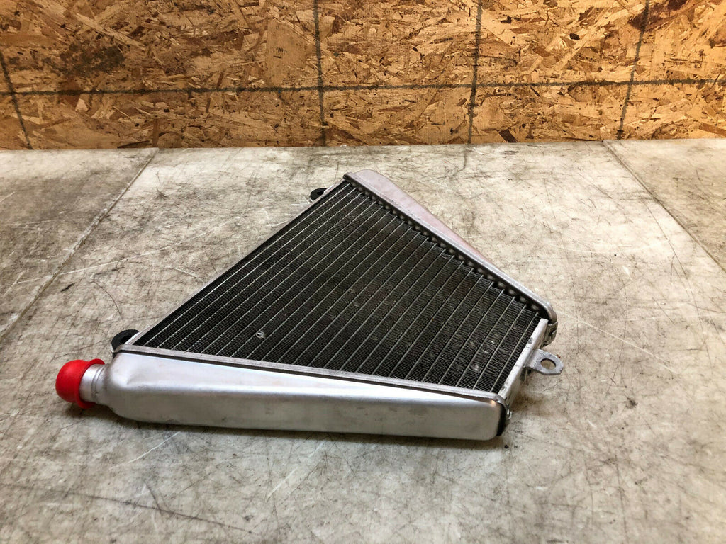 16 17 18 19 DUCATI PANIGALE 899 959 LOWER V RADIATOR RAD ENGINE COOLER COOLING